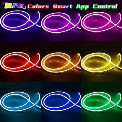 Neon Rope Lights